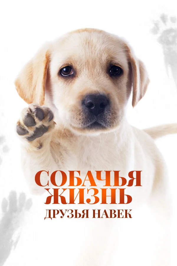 Собачья жизнь: Друзья навек сериал 2023 смотреть онлайн бесплатно в хорошем качестве HD